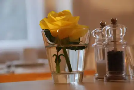 The Bed and Breakfast - 12
