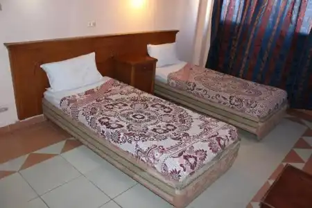 Sea Star - 103