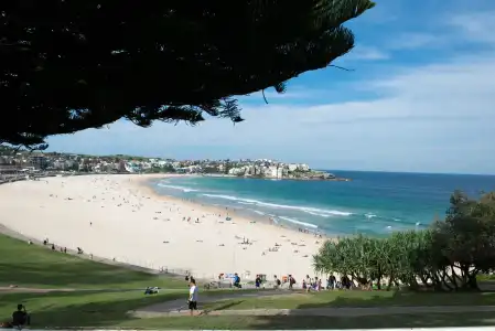 Bondi 38 Serviced Apartments - 11