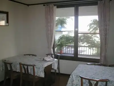 Japanese-Style Pension Hoshikawa - 2