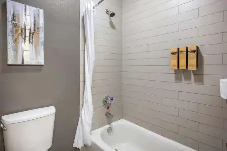 Best Western Plus Peppertree Airport Inn - 43