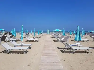 Paloma - 18