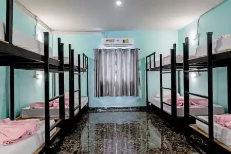 The Guest - Hostel - 50
