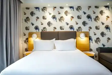 Holiday Inn PERPIGNAN by IHG - 41