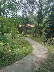 Ban Ban Bangalow - 6