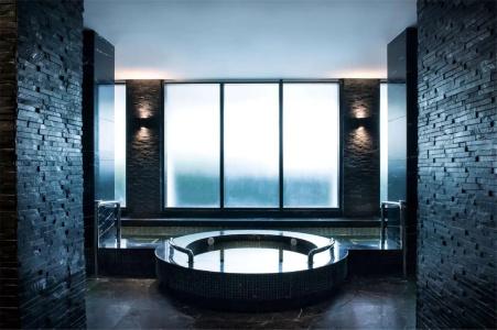 White Swan - 15
