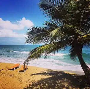 Cabarete Boutique Ecolodge Beachfront - 16