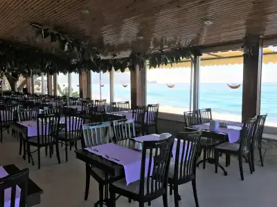 Muz - All Inclusive - 25