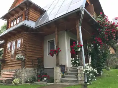 Sadyba U Olgy - 17