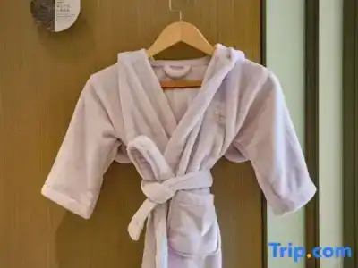 Wuhan Marriott Hankou - 38