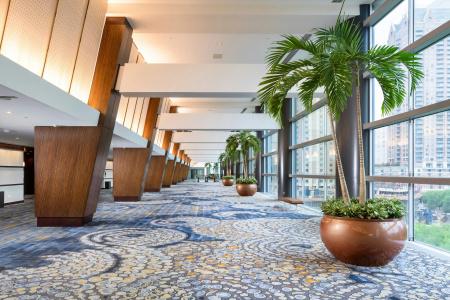 Hilton Americas - - 15