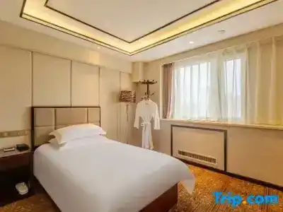 Rui Cheng - 16