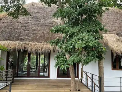 Big Tree Boutique - 11