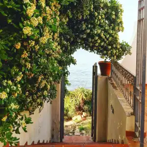Villa Grachira - 7