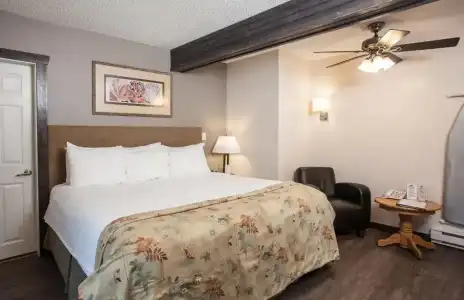 Swiss Chalet Motel - 59