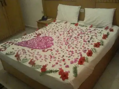 Oricana - 5