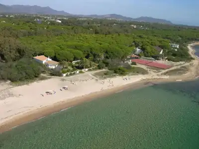 Mare Pineta - 15