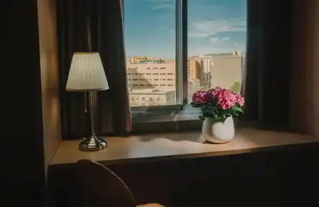 Embajador - 7