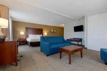Comfort Inn The Pointe - 47