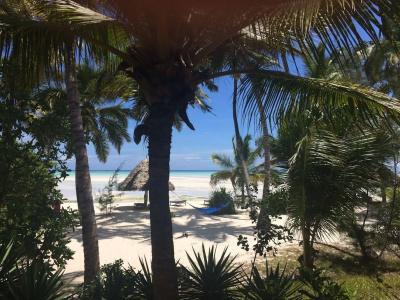 Pongwe Beach - 20