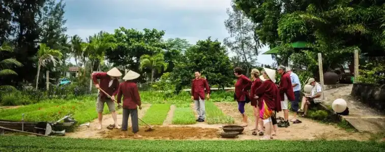 Tue Tam Villa - 84
