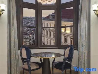 Palazzo Donizetti Istanbul, Tapestry Collection by Hilton - 50