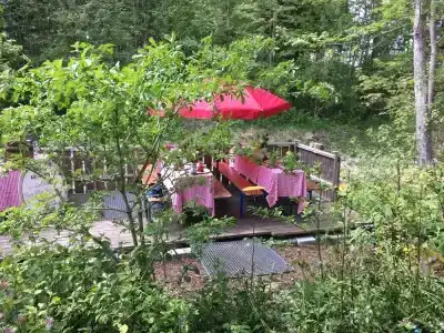 Landgasthof Zum Alten Reichenbach - 14
