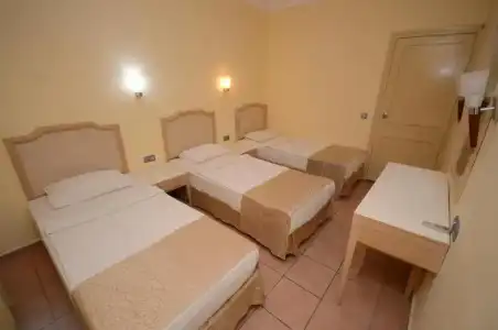 Alenz Suite - 59