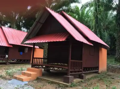Khao Sok Evergreen House - 45