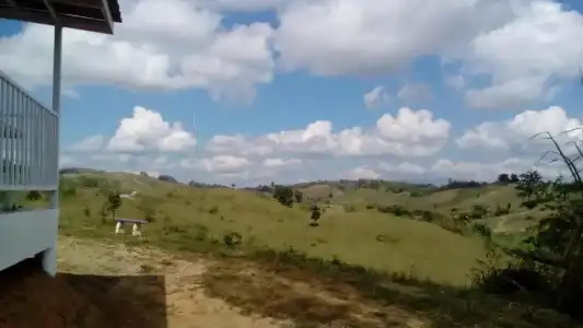 Lovely Farm - 40