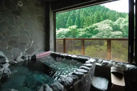 Minakamisanso - 10