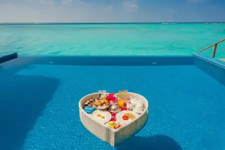 You & Me by Cocoon - 15