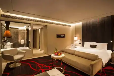 Hilton Xi'an High-tech Zone - 67