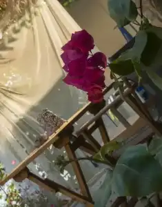 Valentina Boutique - 20