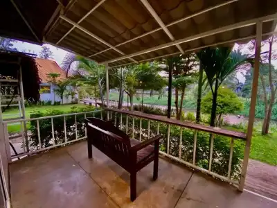 Canary Guesthouse - 29