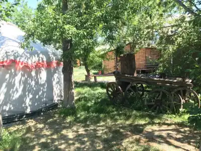 Turkestan Yurt Camp - 15