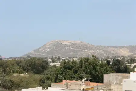 Sindibad - 50