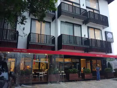 White Tree Residence - 0