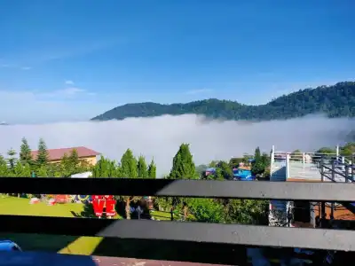 Khao Kho Tree Top - 49