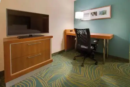 SpringHill Suites by Marriott Orlando Lake Buena Vista South - 35