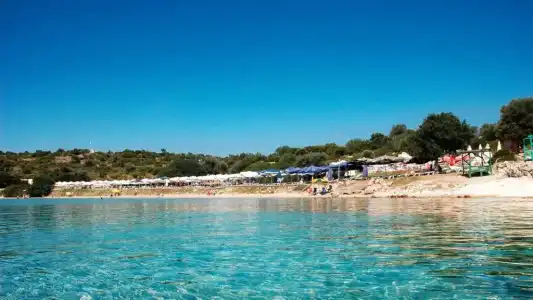 Dalyan Risus Suite - 8
