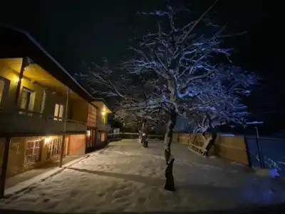 ArtVilla Bakuriani - 76