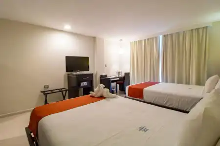 El Español Paseo de Montejo - 66