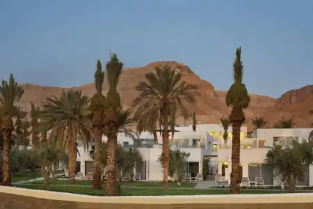 Herbert Samuel Milos Dead Sea - 16