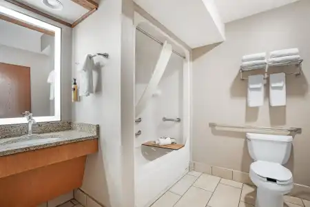 Best Western Plus GranTree Inn - 89