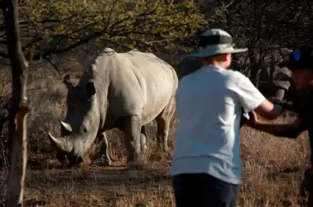 Waterberg Wilderness - 54