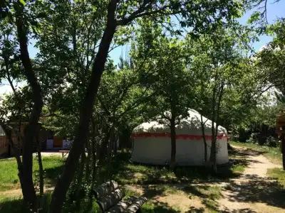 Turkestan Yurt Camp - 26