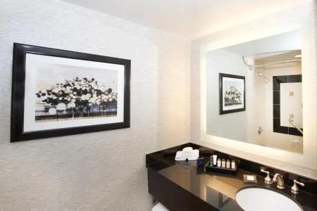 Sheraton Anchorage - 70