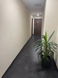 Capitol Zentrum - 24h - - 58