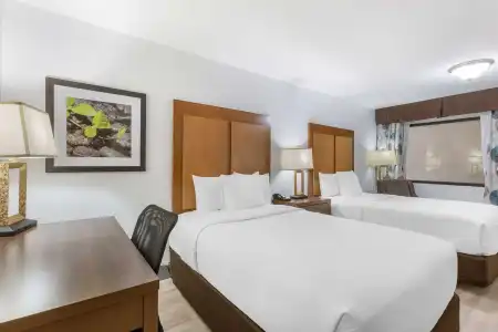 Best Western Plus El Paso Airport & Conference Center - 51